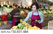Adult woman seller puts bananas on display. Стоковое видео, видеограф Яков Филимонов / Фотобанк Лори