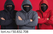 Anonymous collective in balaclavas and hoodies, arms folded, against a striking crimson wall. Стоковое AI-видео, аниматор Данила Большаков / Фотобанк Лори