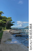 Scenic coastal path with lush trees and blue sea under clear sky, ideal for travel background. Стоковое видео, видеограф Анастасия Золотницкая / Фотобанк Лори