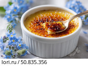 Creme brulee. dessert with caramel crust. Elegant Gourmet Dessert with Caramelized Sugar Crust. French vanilla cream. Eating Creme Brulee with Spoon. Cracking caramel. Delicious Sweet. Catalan cream. Стоковое AI-изображение, AI-художник Марина Демидюк / Фотобанк Лори