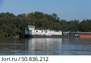 Tugboat stationed by a serene riverbank on a sunny day. Стоковое фото, фотограф EugeneSergeev / Фотобанк Лори