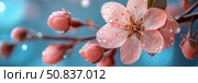 Spring bloom: Delicate blossoms in bloom with glistening dewdrops, a symbol of hope and renewal. Стоковое AI-изображение, AI-художник Данила Большаков / Фотобанк Лори