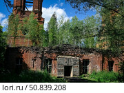 Старая церковь. Заброшенный храм. Заброшенные места. Православие. Христианство. Святое место. Стоковое фото, фотограф Зинаида Никитенко / Фотобанк Лори