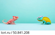 Conceptual: A whimsical encounter of two vibrant chameleon, staring face to face on a blue background, creating a playful composition. Стоковое AI-изображение, AI-художник Данила Большаков / Фотобанк Лори