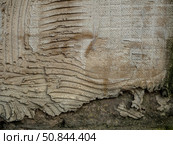 Abstract old unkempt background with uneven plaster. The surface shows striped indentations and a square grid. Стоковое фото, фотограф Бузмакова Светлана / Фотобанк Лори
