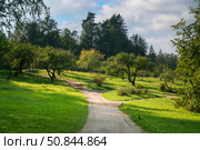 View of the alley through the apple orchard in the Mikhailovskoye Estate of the Pushkin Museum-Reserve on a sunny summer day, Pushkinskiye Gory, Pskov region, Russia. Стоковое фото, фотограф Ula Ulachka / Фотобанк Лори