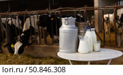 Composition of milk churns and bottles. Стоковое фото, фотограф Яков Филимонов / Фотобанк Лори
