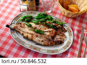Grilled bass with Padron peppers. Стоковое фото, фотограф Яков Филимонов / Фотобанк Лори