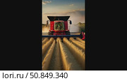 A combine harvester in the field harvests wheat. Harvest festival, autumn field cleaning, grain crops. AI generated. Стоковое AI-видео, аниматор Ольга Симонова / Фотобанк Лори