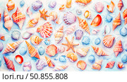 Beautiful seashells of various shapes and sizes create a stunning summer background, that evokes sea coast. Стоковое AI-изображение, AI-художник Юлия Ильина / Фотобанк Лори