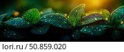 Emerald Canopy: Dew-Kissed Leaves Bask in Golden Light. Стоковое AI-изображение, AI-художник Данила Большаков / Фотобанк Лори