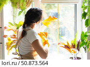 Woman in rubber gloves and apron close-up manually washes window of house with rag cleaner and mop inside interior with home plants on windowsill. Restoring order and cleanliness, cleaning servise. Стоковое фото, фотограф Ольга Симонова / Фотобанк Лори