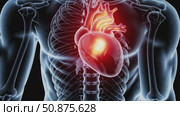 Pulsing heart glowing within transparent human anatomy, revealing skeletal structure, arterial network, and circulatory pathways against dark background. Стоковое AI-видео, аниматор Данил Руденко / Фотобанк Лори