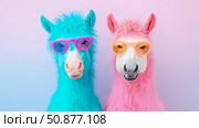 Whimsical equine buddies, summer vibes: Quirky colorful duo of furry horses wearing cool shades for funky animal-themed print, poster, card design. Стоковое AI-изображение, AI-художник Данила Большаков / Фотобанк Лори