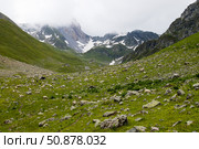 Отара овец пасется на горном склоне. Стоковое фото, фотограф Игорь Дашко / Фотобанк Лори