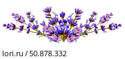 lavender flower arrangement, hand painted with watercolor, seamless, for provence style, wedding. Стоковая иллюстрация, иллюстратор Екатерина Тимонова / Фотобанк Лори