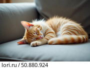 A red fluffy cat curls up comfortably on a soft sofa, basking in the gentle afternoon sunlight, completely lost in serene dreams and soft purring Generative AI. Стоковое AI-изображение, AI-художник Юлия Петровская / Фотобанк Лори