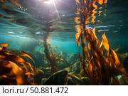 Sunbeams illuminating kelp forest growing on rocky seabed. Стоковое AI-изображение, AI-художник Иван Рябоконь / Фотобанк Лори