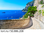 Capri island, Italy. Стоковое фото, фотограф Anastasy Yarmolovich / Фотобанк Лори