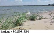 Берег Азовского моря. Стоковое видео, видеограф Ирина / Фотобанк Лори