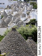 Италия. Альбарабелло. Вид на традиционные дома-трулли. Italy. Alberobello. A view of traditional trulli houses. Стоковое фото, фотограф Алексей Смышляев / Фотобанк Лори