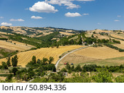 Италия. Апулия. Пейзаж с полями и деревьями. Italy. Apulia. Landscape with fields and trees. Стоковое фото, фотограф Алексей Смышляев / Фотобанк Лори