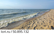 Пляж, Азовское море, Павло-Очаковская коса. Стоковое фото, фотограф Ирина / Фотобанк Лори