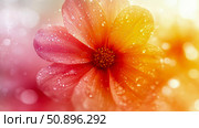 Vibrant Bloom with Fresh Dewdrops: A Close-up of a Flower with Warm Gradient Hues, Suitable for a Spring Greeting Card or Decorative Print. Стоковое AI-изображение, AI-художник Данила Большаков / Фотобанк Лори