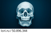 A precise anatomical representation of a human skull, presented frontally in cool blue hues, ideal for educational health content or somber themed artworks. Стоковое AI-изображение, AI-художник Данила Большаков / Фотобанк Лори