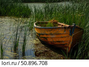 Old wooden rowboat moored in a swampy lake surrounded by reeds. Стоковое AI-изображение, AI-художник Иван Рябоконь / Фотобанк Лори