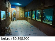 Utrish, Russia - September 07, 2022: Museum of the Black Sea Flora and Fauna. Редакционное фото, фотограф Наталия Кирсанова / Фотобанк Лори