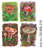 A vibrant, hand-drawn collection of mushrooms against a grass and earth background, including the little red fly agaric, russula, chanterelles, and milk mushrooms. Illustrations done in oil pastels. Стоковая иллюстрация, иллюстратор Дарья Мережина / Фотобанк Лори