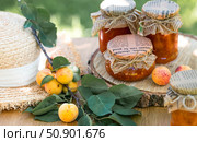 Preservation and summer harvest. Homemade healthy jelly, apricot jam. Preparing jars. Sweets and fruits. Стоковое фото, фотограф Photojuli / Фотобанк Лори