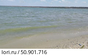 Волны, Азовское море, Павло-Очаковская коса. Стоковое видео, видеограф Ирина / Фотобанк Лори