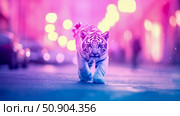 Neon wildlife concept: A white tiger cub walking on a road at night. Стоковое AI-изображение, AI-художник Данила Большаков / Фотобанк Лори