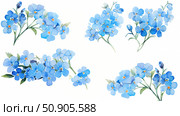 Set of forget-me-not flowers on white background, watercolor illustration. Стоковое AI-изображение, AI-художник Екатерина Красникова / Фотобанк Лори