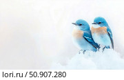 Two Eastern Bluebird birds perched on snowdrift, for love card and peaceful nature scene. Стоковое AI-изображение, AI-художник Данила Большаков / Фотобанк Лори
