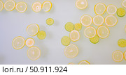 Turbid soapy water in the bath with slices of lemon and lime top view in full frame. Citrus. Spa with milk in the bath for rejuvenation. Стоковое фото, фотограф Михаил Решетников / Фотобанк Лори