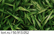 biodegradable green straw ai generated. Стоковое AI-изображение, AI-художник Vectorwin / Фотобанк Лори