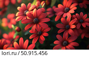geranium red flowers ai generated. Стоковое AI-изображение, AI-художник Vectorwin / Фотобанк Лори