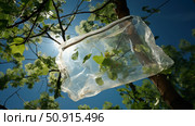 durable cellophane bag ai generated. Стоковое AI-изображение, AI-художник Vectorwin / Фотобанк Лори