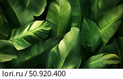 stomata plant leaves ai generated. Стоковое AI-изображение, AI-художник Vectorwin / Фотобанк Лори