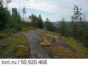 Карелия, Сортавала, лесопарк Ваккосалми. Стоковое фото, фотограф Акулов Витальевич Вячеслав / Фотобанк Лори