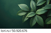 margin simple leaves ai generated. Стоковое AI-изображение, AI-художник Vectorwin / Фотобанк Лори