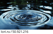 reflection water droplet ripples ai generated. Стоковое AI-изображение, AI-художник Vectorwin / Фотобанк Лори