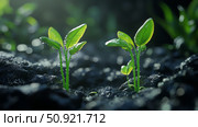 photosynthesis plants sprouting ai generated. Стоковое AI-изображение, AI-художник Vectorwin / Фотобанк Лори