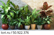 philodendron tropical house plants ai generated. Стоковое AI-изображение, AI-художник Vectorwin / Фотобанк Лори