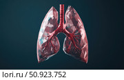 evolution morphing lungs ai generated. Стоковое AI-изображение, AI-художник Vectorwin / Фотобанк Лори
