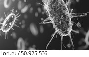 quorum layering bacteria ai generated. Стоковое AI-изображение, AI-художник Vectorwin / Фотобанк Лори