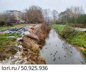 Кайсаров ручей в Вологде осенью (2023 год). Стоковое фото, фотограф Мария Сергеева / Фотобанк Лори